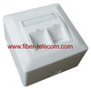 2-port Germany Type Bevelled FTP Face Plate