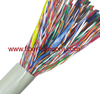 CAT3 UTP Telephone Cable 100pair