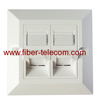 2-port UK Type Bevelled Faceplate